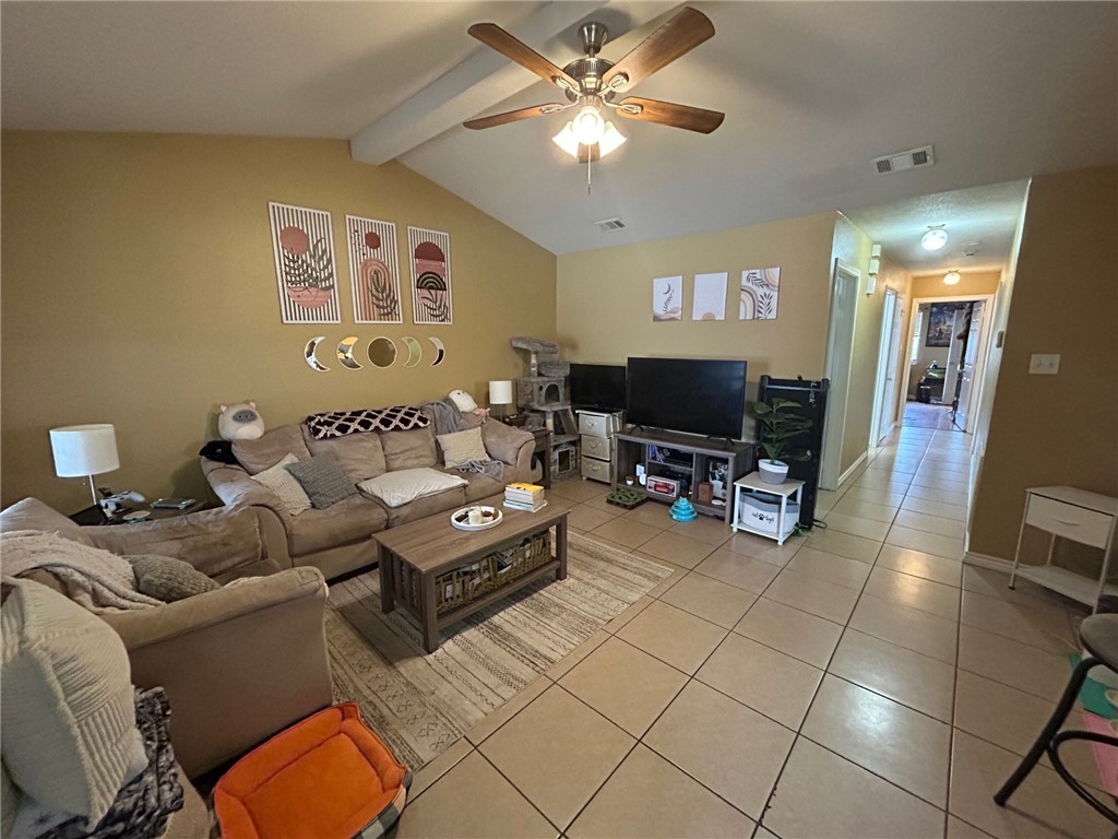 919 Sun Meadows Street College Station, TX 77845 - Photo 3 of 21