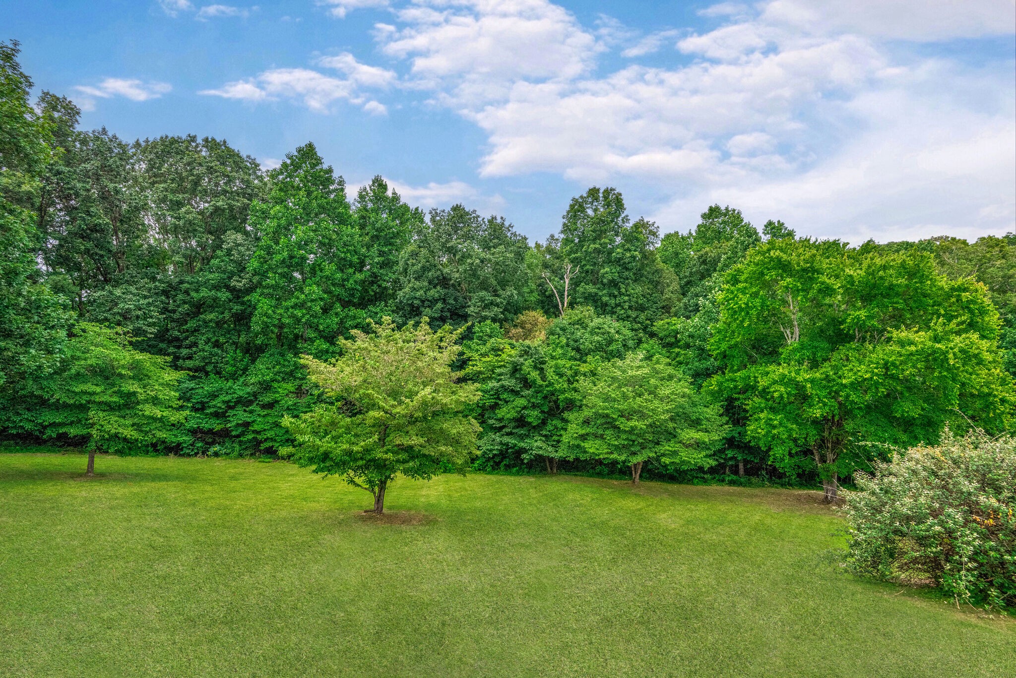 891 Ford Road White Bluff, TN 37187 - Photo 4 of 57 Gallery Image 4