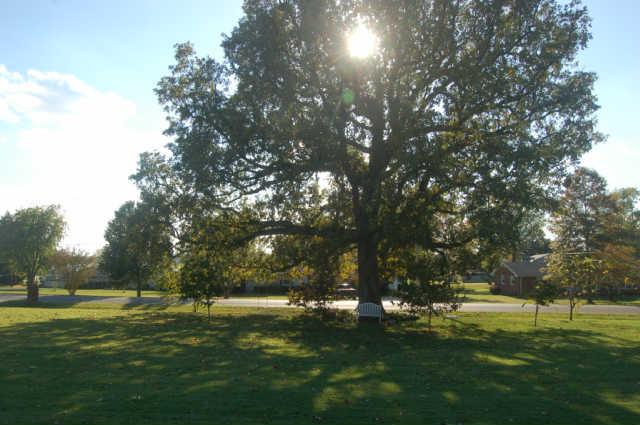 231 Cherokee Road Hendersonville, TN 37075 - Photo 20 of 20 Gallery Image 20