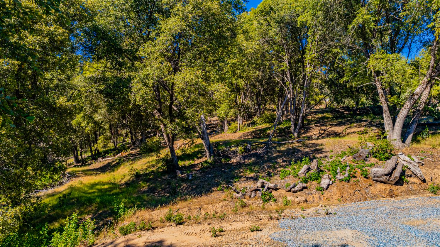 5 3 Springs Road Oakhurst, CA 93644 - Photo 12 of 22