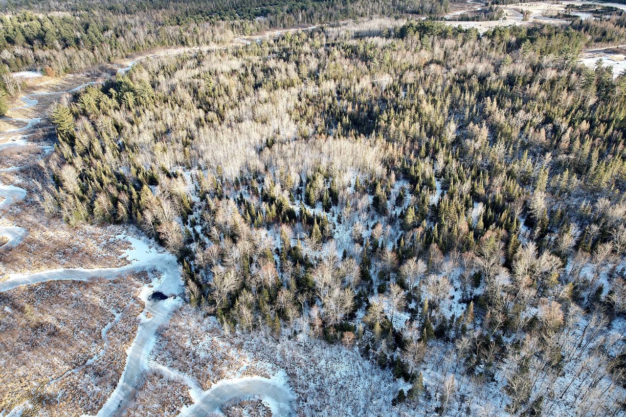 Lot Sundstein Sundstein Road Eagle River, WI 54521 - Photo 4 of 12 Gallery Image 4
