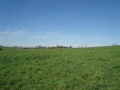 375 Stoney Point Road Paris, KY 40361 - Photo 21 of 25 Photo 21