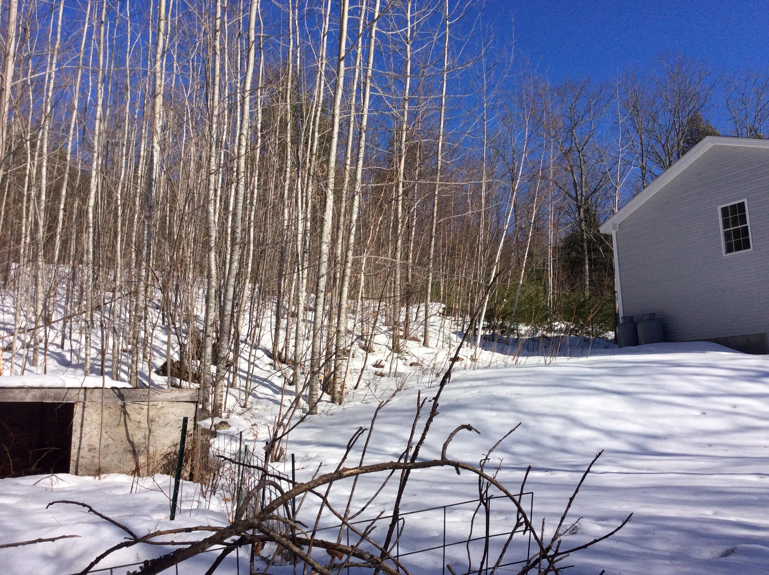 52 Twitchell Road South Paris, ME 04281 - Photo 43 of 49 IMG_1988