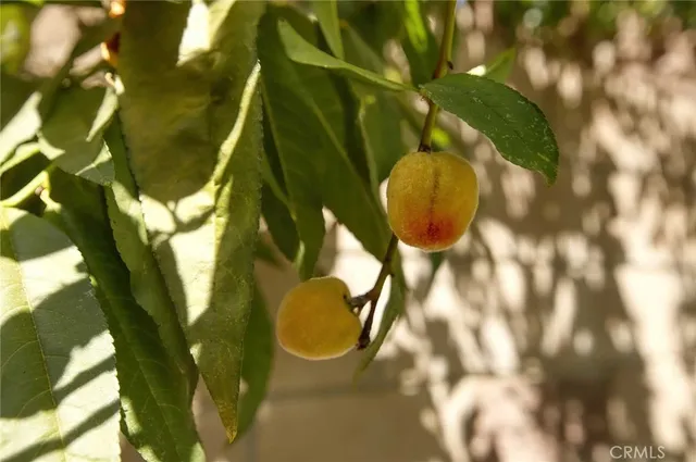 $839,000 | 7816 Shoup Avenue, West Hills, CA 91304