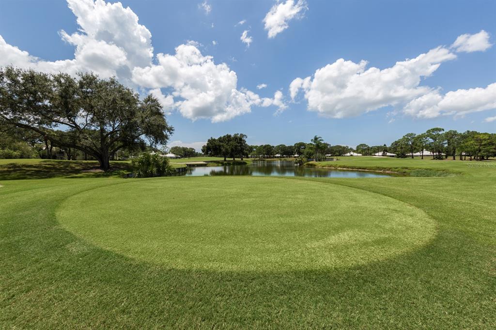 901 Addington Court, Unit 203 Venice, FL 34293 - Photo 37 of 61 a view of a golf course with a big yard