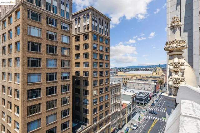 a view of a living room and a potted plant