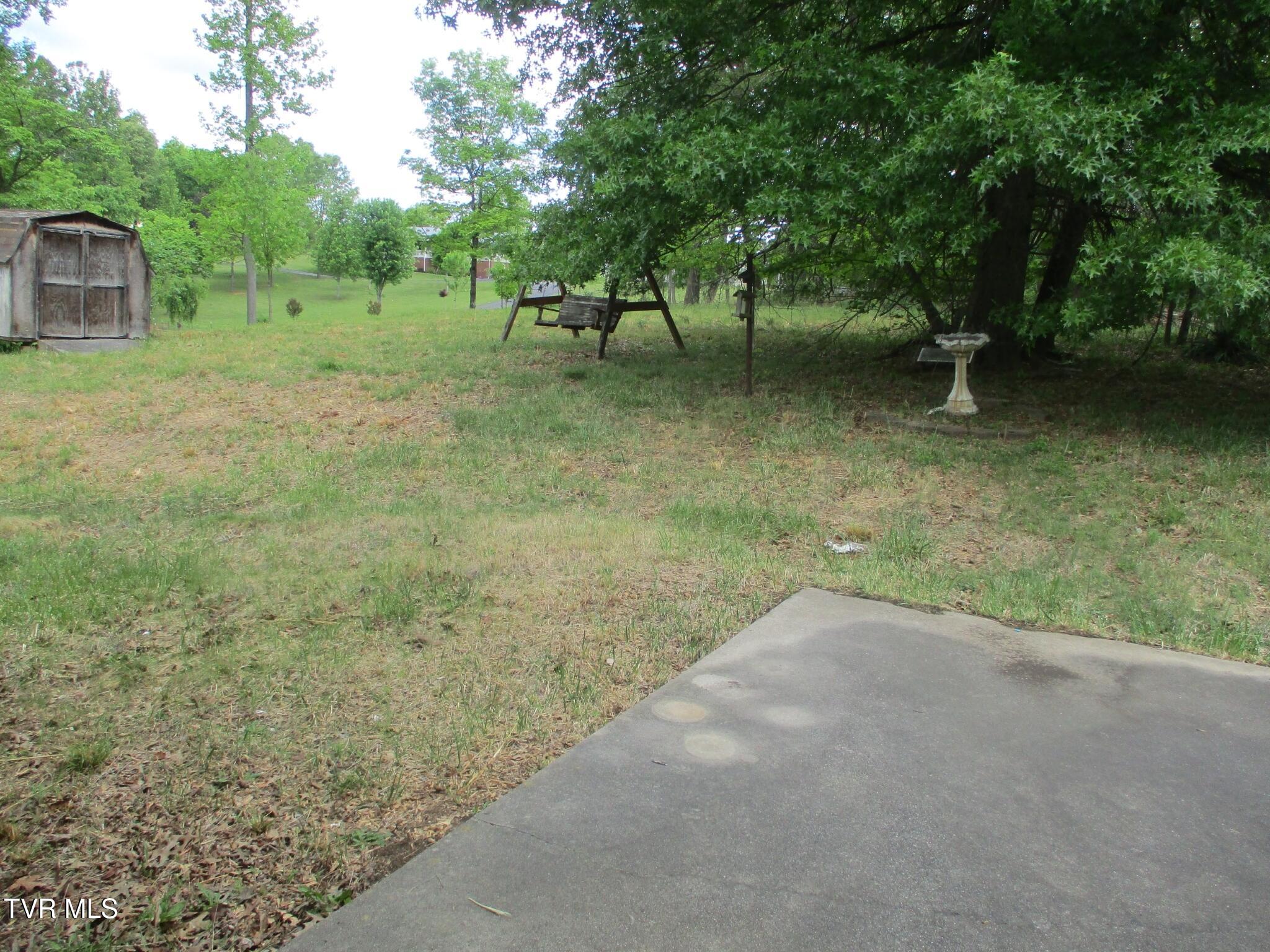 270 Forrest Road Fall Branch, TN 37656 - Photo 18 of 25 18 IMG_9328