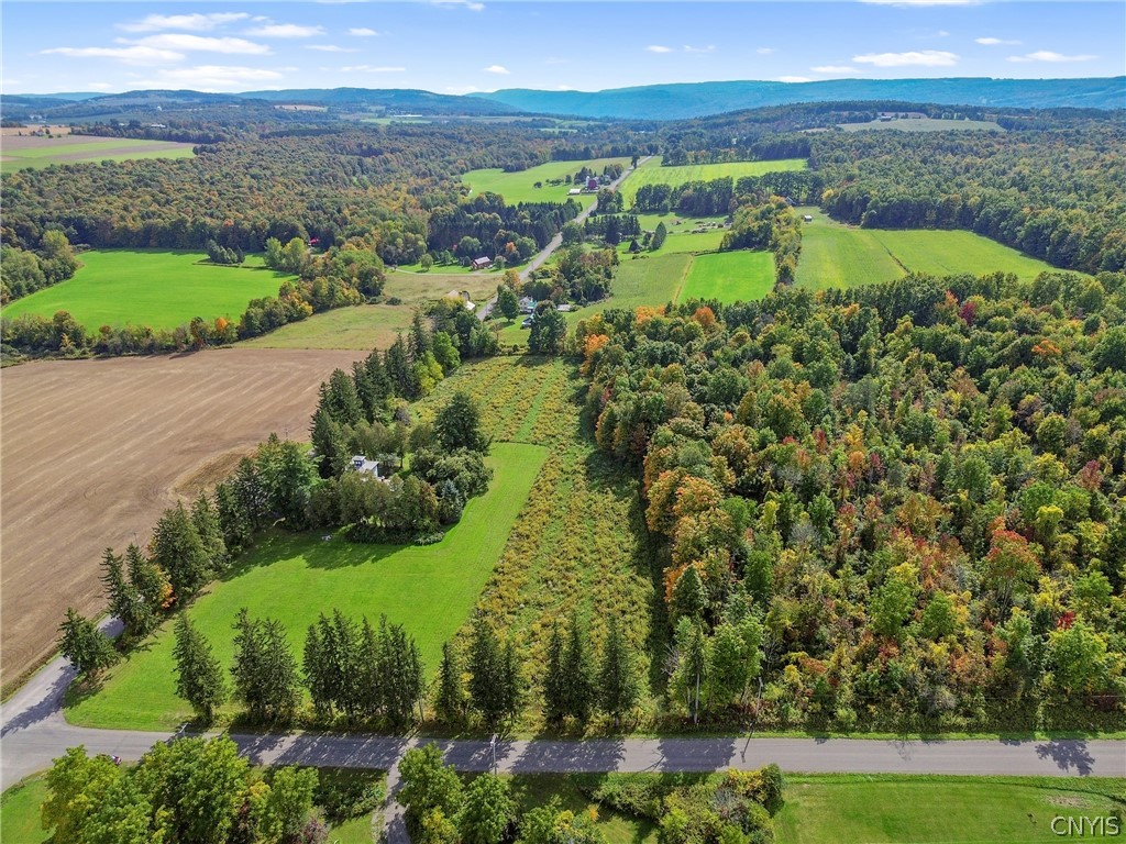 0 Kinyon Road Marietta, NY 13110 - Photo 10 of 17 Gallery Image 10