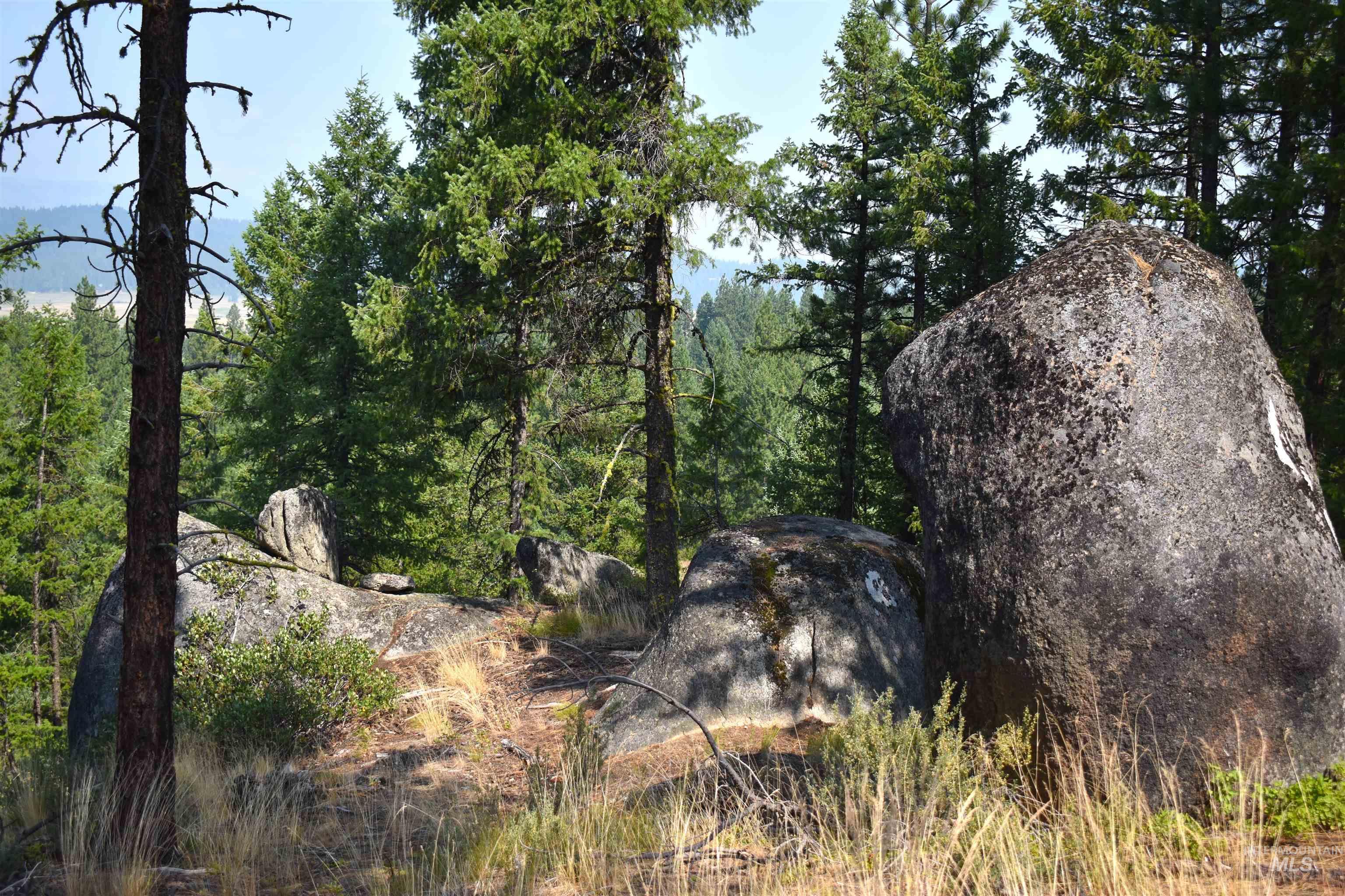 33 San Ignacio Way Cascade, ID 83611 - Photo 21 of 25