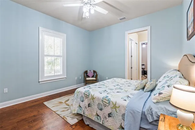 a view of a street sign under a palm tree