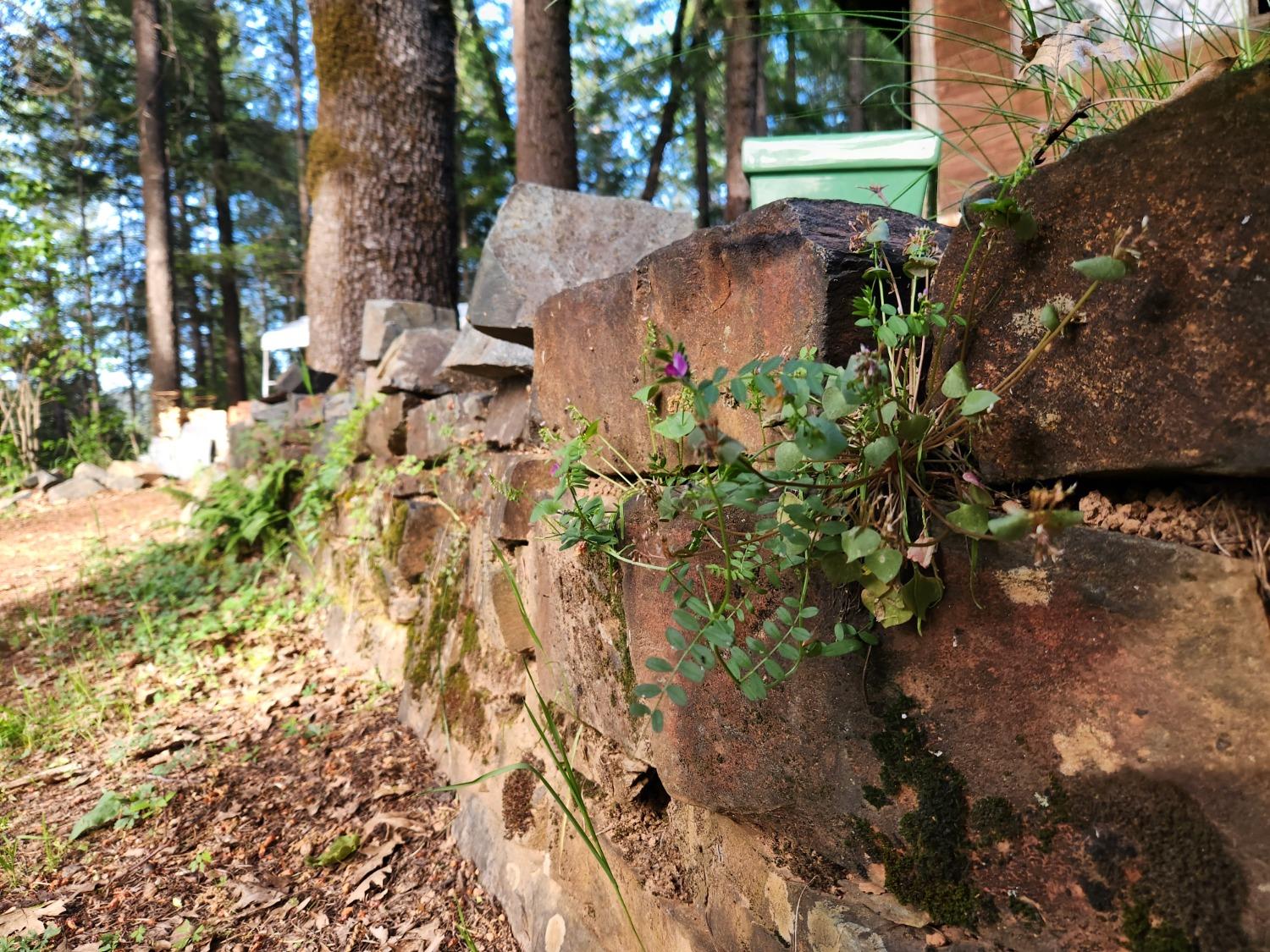 18253 Green Ravine Road Nevada City, CA 95959 - Photo 20 of 43 a backyard of a house with a yard and outdoor seating
