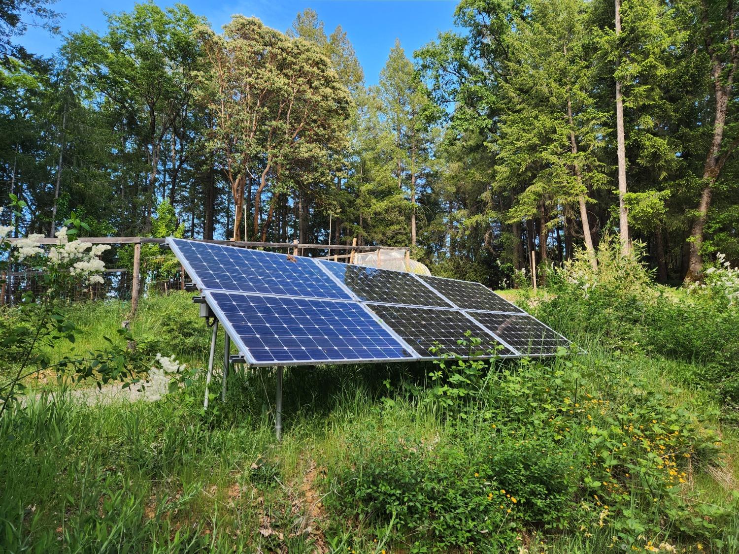 18253 Green Ravine Road Nevada City, CA 95959 - Photo 24 of 43 a view of a backyard with plants and a garden