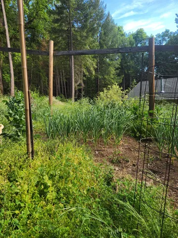a room with gym equipment