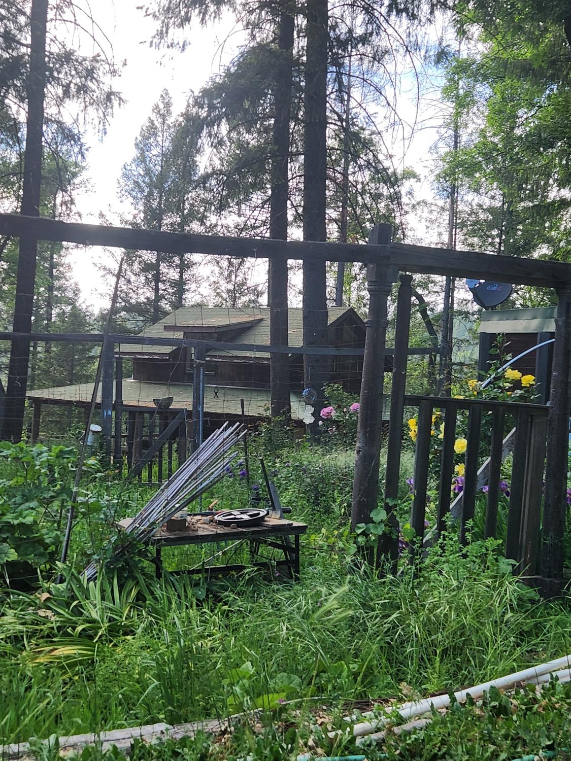 18253 Green Ravine Road Nevada City, CA 95959 - Photo 39 of 43 a view of outdoor space with garden