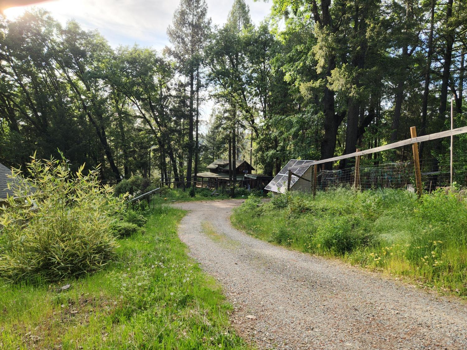 18253 Green Ravine Road Nevada City, CA 95959 - Photo 43 of 43 a view of a backyard
