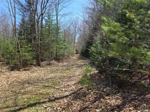 Lot 26-1 Old County Road Bryant Pond, ME 04219 - Photo 1 of 32 675208609_791483997159619_43380133790910