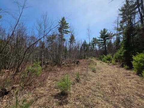Lot 26-1 Old County Road Bryant Pond, ME 04219 - Photo 2 of 32 674915184_1280571296950036_8892168275445