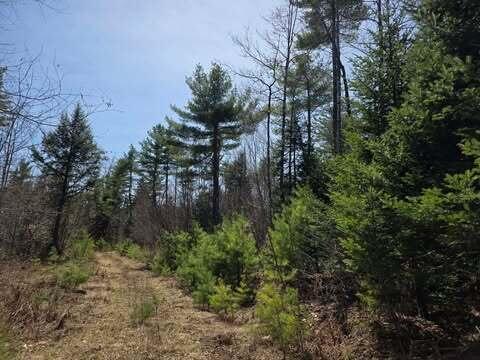 Lot 26-1 Old County Road Bryant Pond, ME 04219 - Photo 22 of 32 679954014_1471094671474372_7642184643378