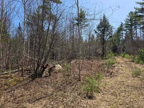 Lot 26-1 Old County Road Bryant Pond, ME 04219 - Photo 30 of 32 683217329_1464096128059618_6546451973222
