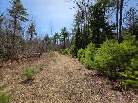 Lot 26-1 Old County Road Bryant Pond, ME 04219 - Photo 4 of 32 675616792_1300230588720373_7583165036118