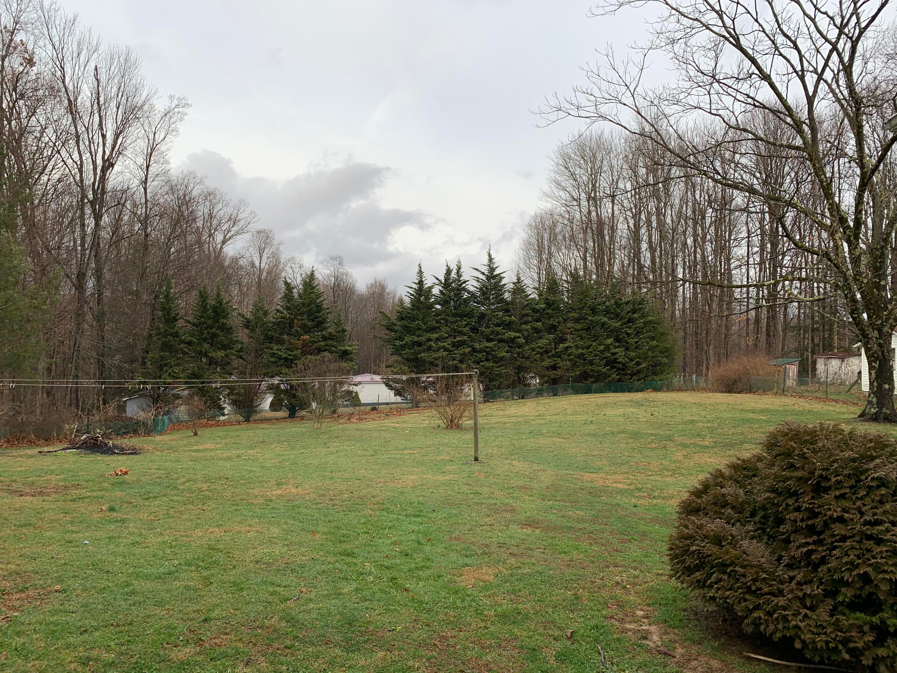 795 Old Nicholas Road Mount Nebo, WV 26679 - Photo 8 of 10 Gallery Image 8