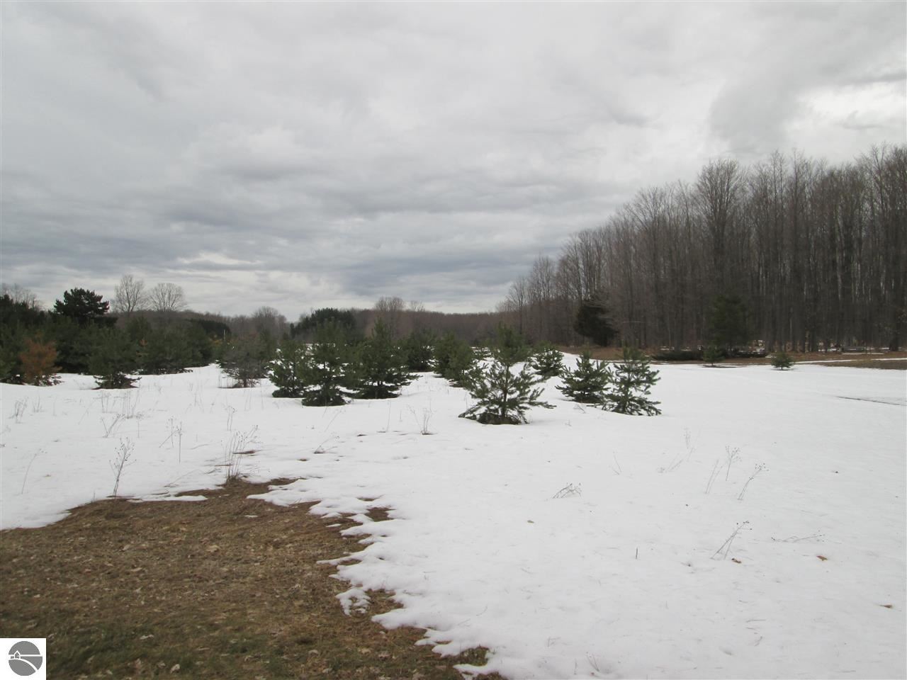 9587 Innis Road Northeast Alden, MI 49612 - Photo 59 of 67 1801536-58.JPG