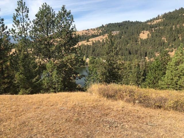 1088 Mission Ridge Way Kettle Falls, WA 99141 - Photo 11 of 47 Gallery Image 11