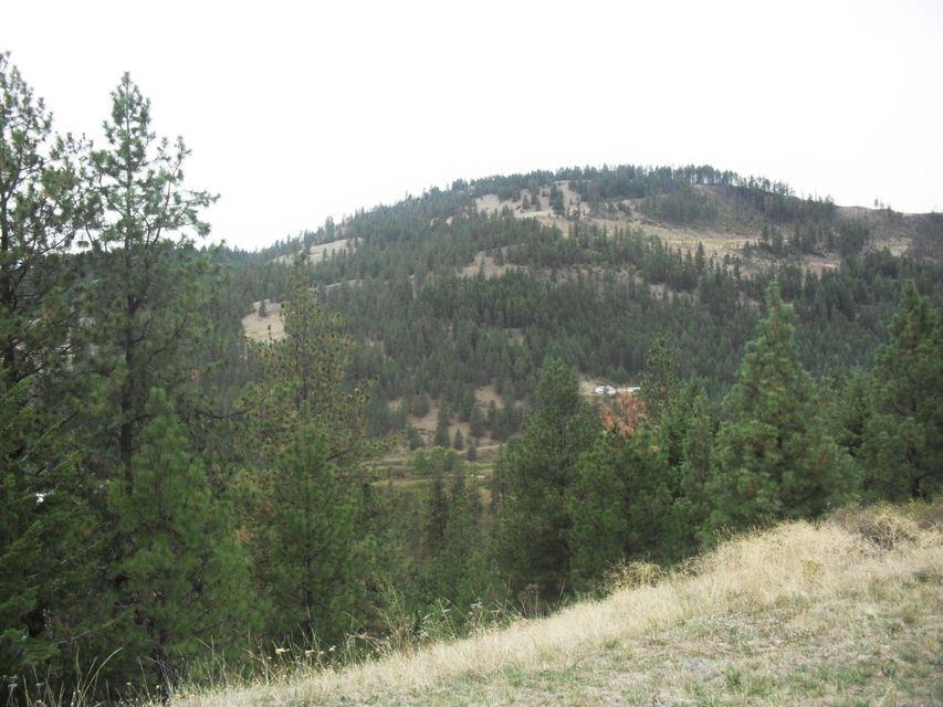 1088 Mission Ridge Way Kettle Falls, WA 99141 - Photo 15 of 47 Gallery Image 15