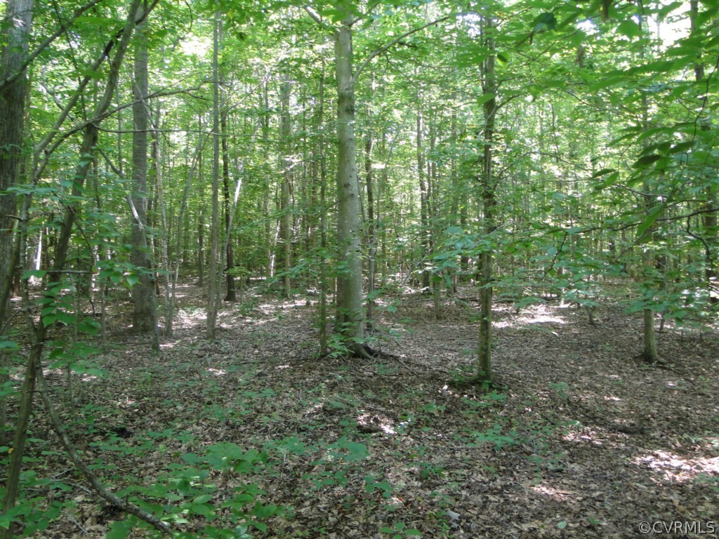 0 Pleasant Road Powhatan, VA 23139 - Photo 1 of 1 Gallery Image 1