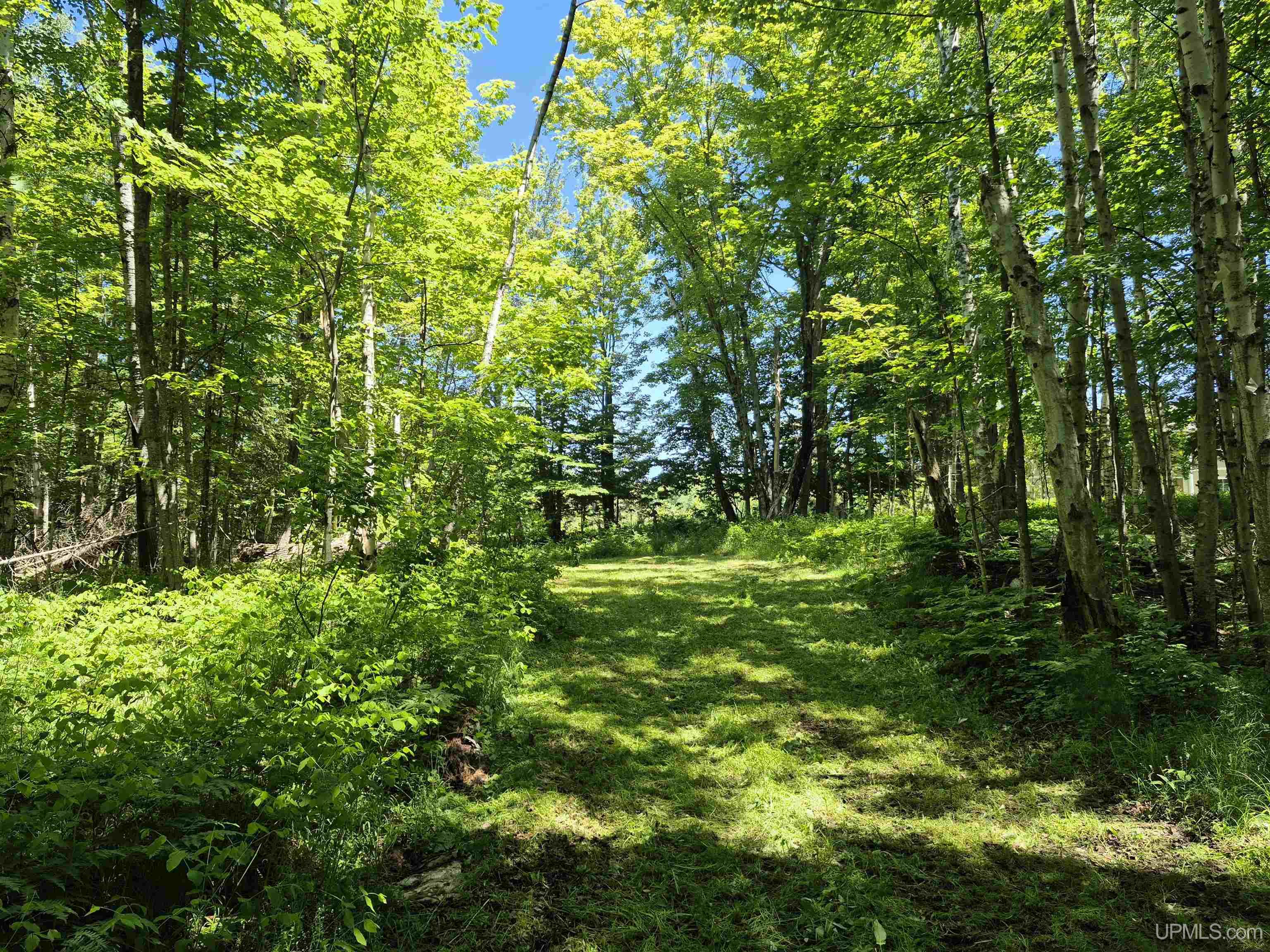 8-acres Nestor Road Munising, MI 49862 - Photo 8 of 43