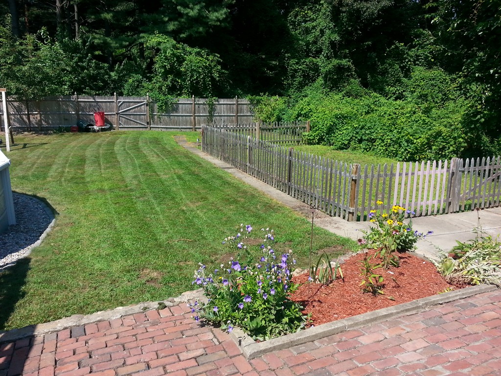 26 Lorenzo Street Springfield, MA 01109 - Photo 5 of 12 a view of a backyard with potted plants and large tree