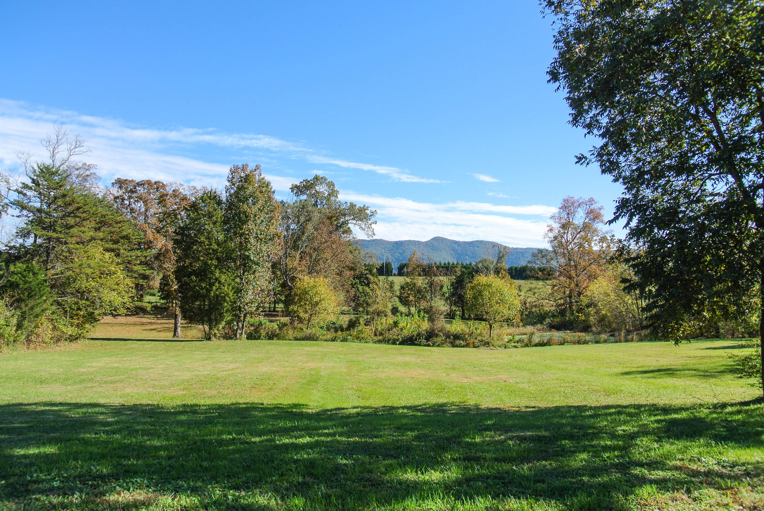 2319 Ellejoy Road Walland, TN 37886 - Photo 5 of 37 DSC_0265