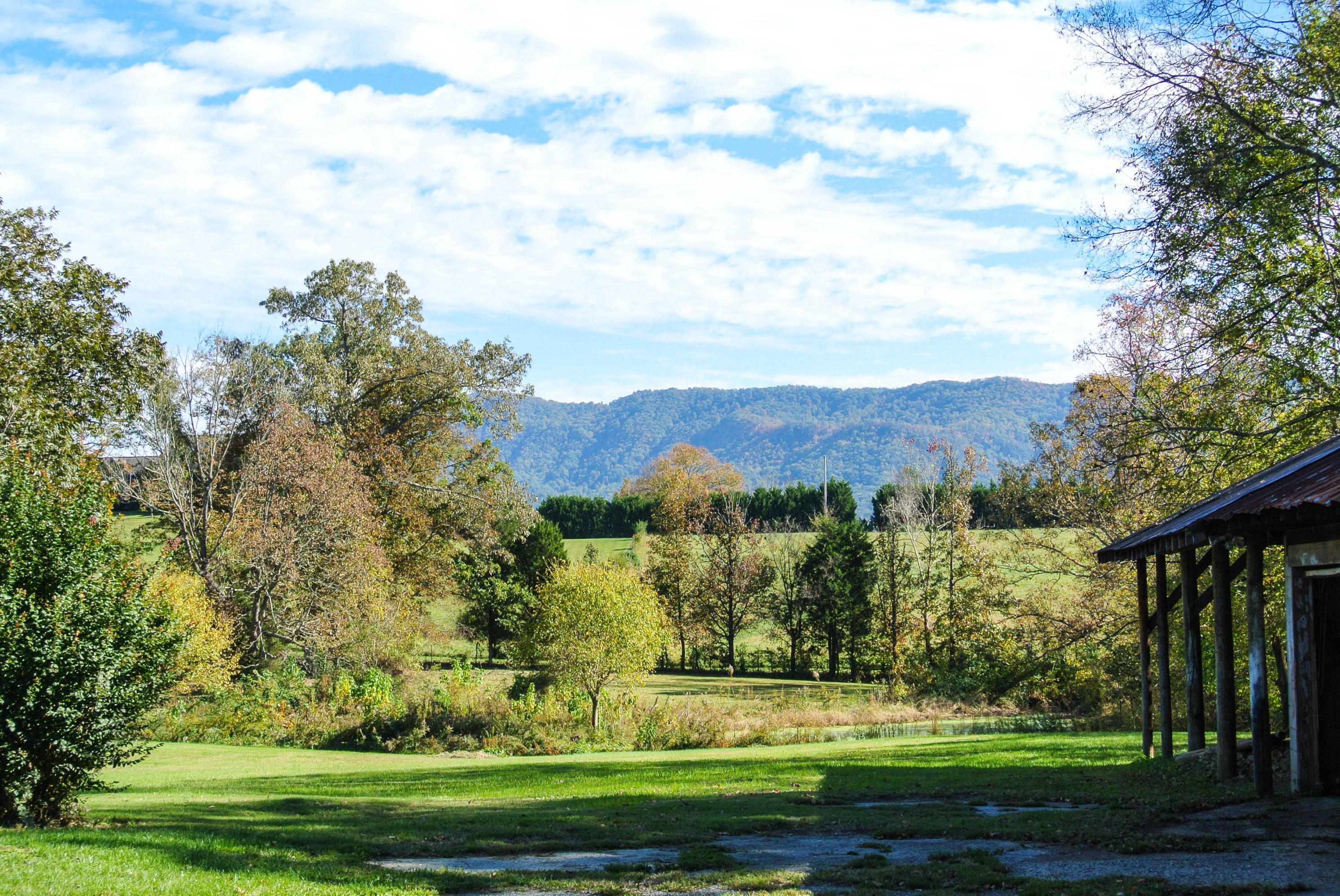 2319 Ellejoy Road Walland, TN 37886 - Photo 6 of 37 DSC_0217
