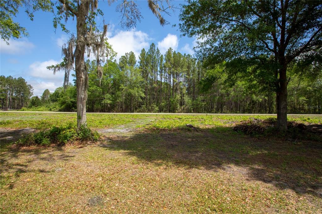 Northwest 185th Street Starke, FL 32091 - Photo 10 of 19 a view of a park with a tree