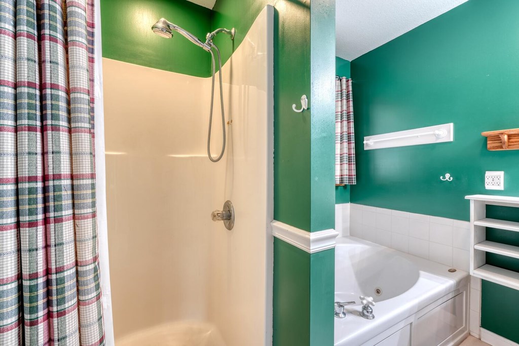 2478 High River Road Hiawassee, GA 30546 - Photo 21 of 67 a bathroom with a bathtub and a shower