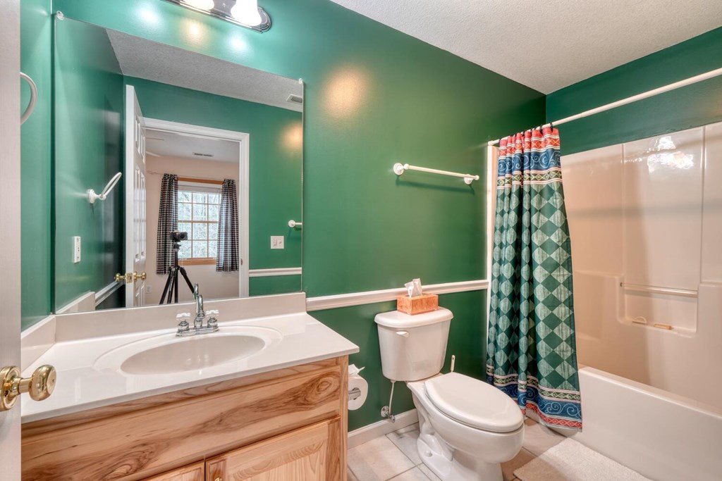 2478 High River Road Hiawassee, GA 30546 - Photo 30 of 67 a bathroom with a sink a toilet and shower