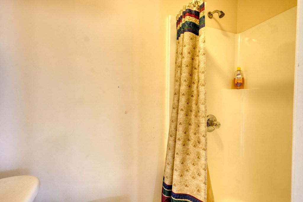 2478 High River Road Hiawassee, GA 30546 - Photo 37 of 67 a bathroom with a shower