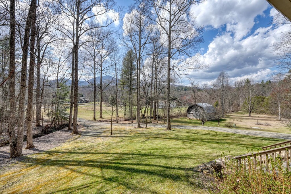 2478 High River Road Hiawassee, GA 30546 - Photo 52 of 67 a swimming pool with trees in the background