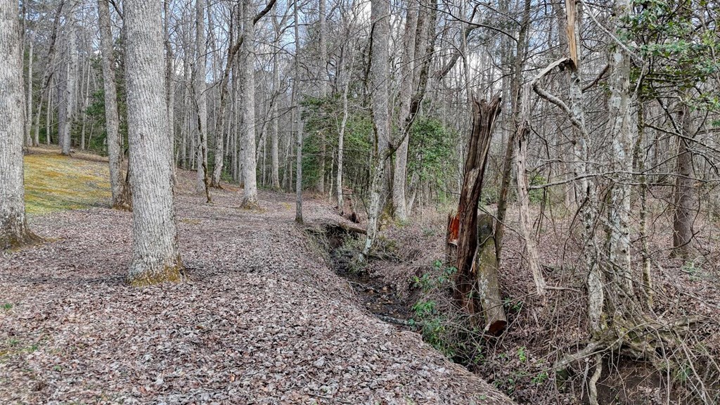 2478 High River Road Hiawassee, GA 30546 - Photo 61 of 67