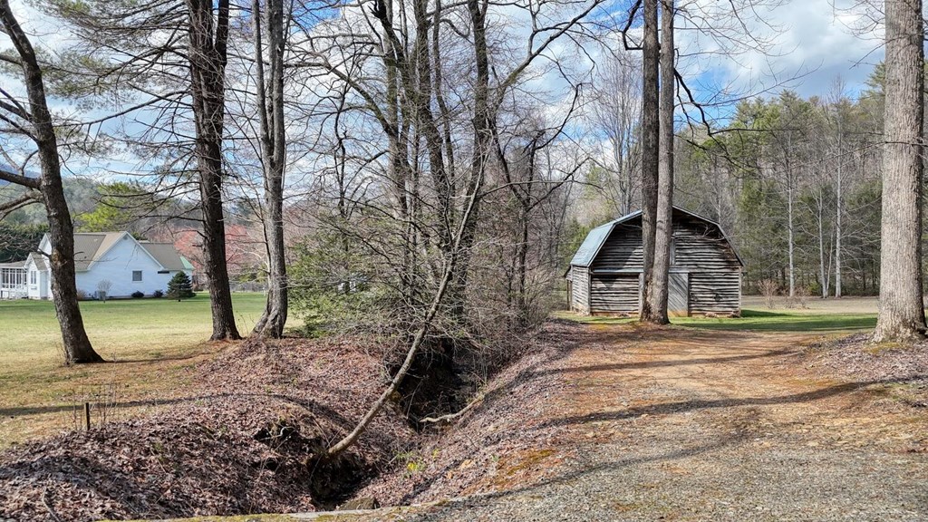 2478 High River Road Hiawassee, GA 30546 - Photo 62 of 67 a view of a house with backyard and trees