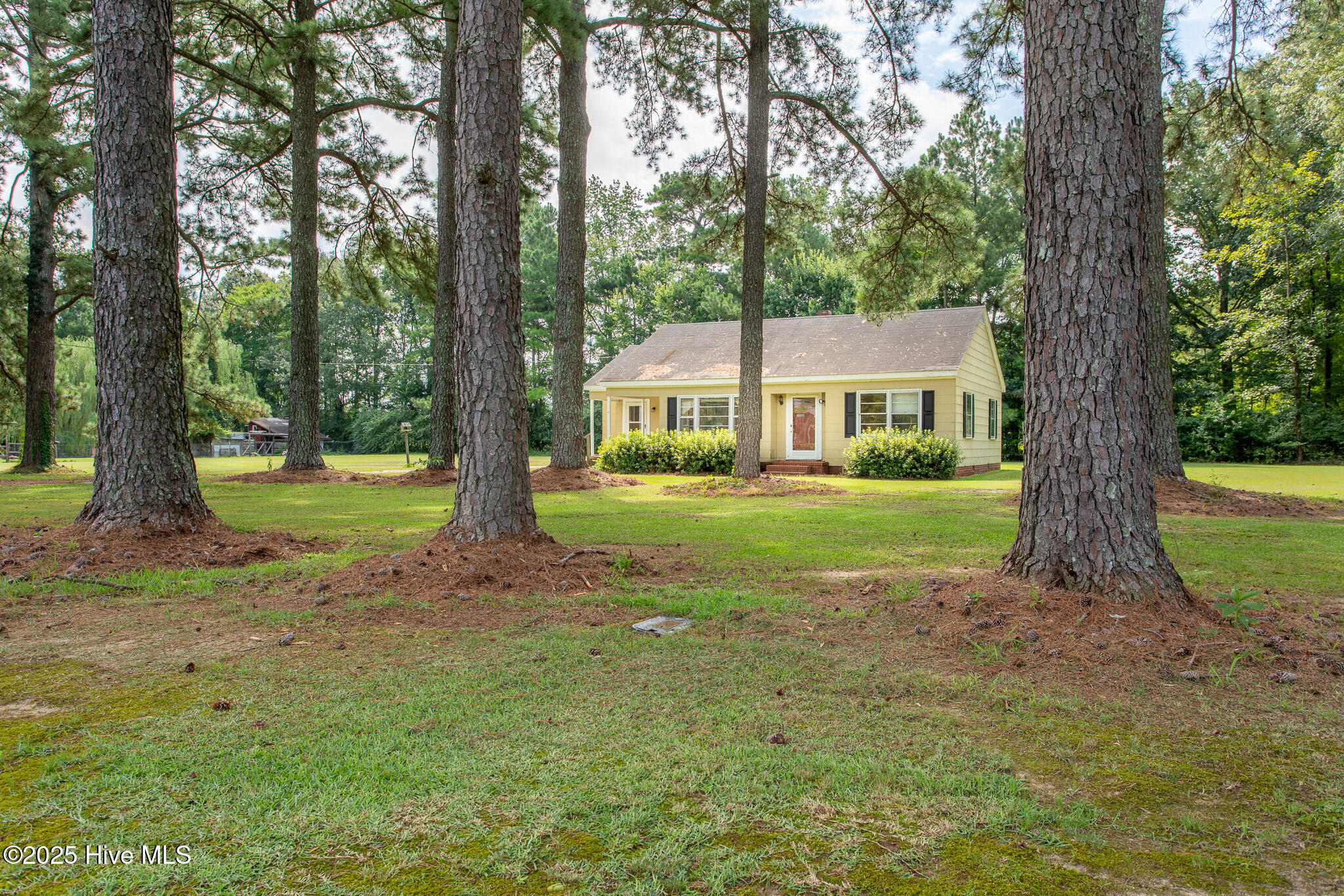 128 Old Us 17n Windsor, NC 27983 - Photo 2 of 25 9H4A7598-HDR