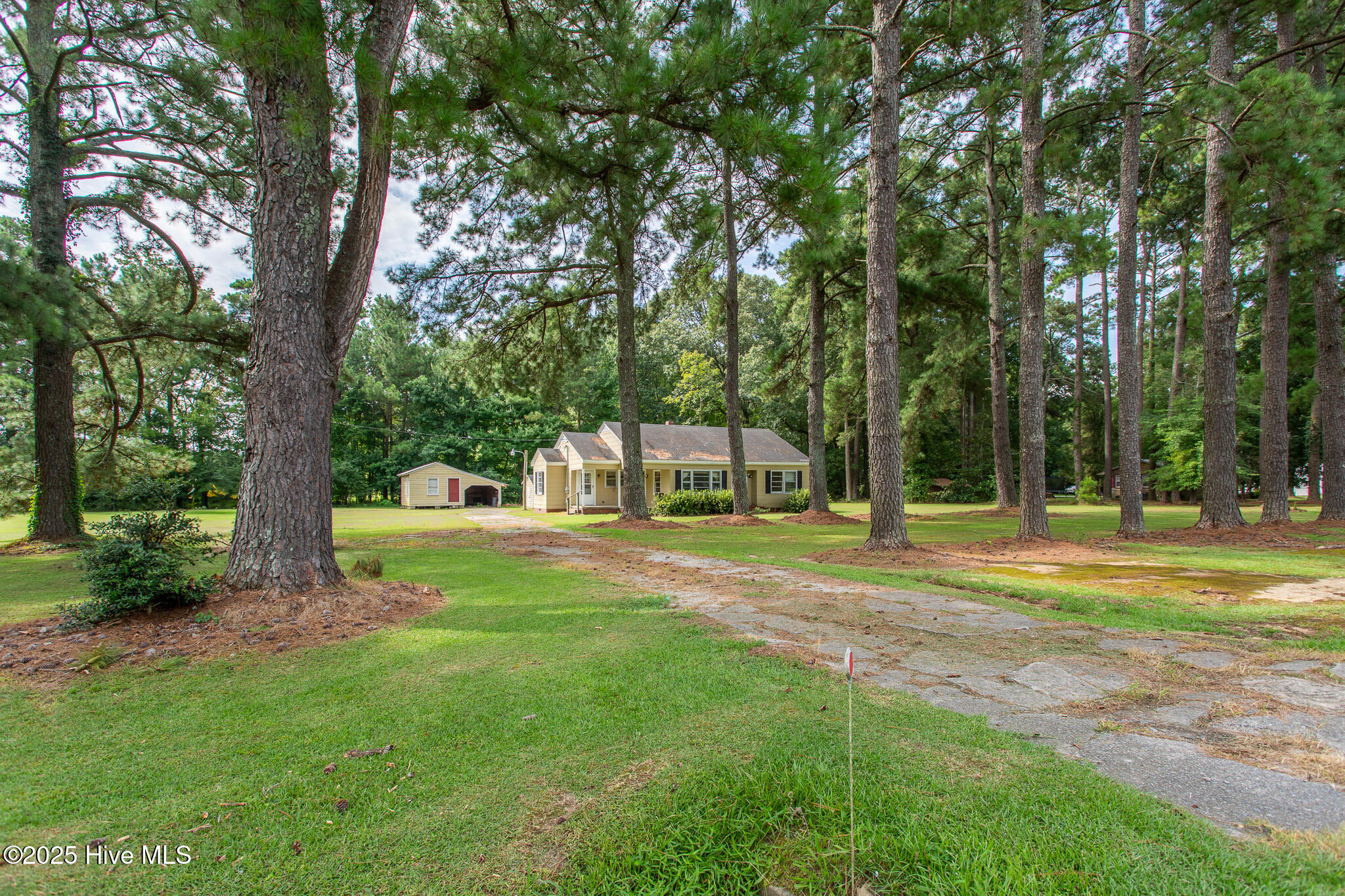 128 Old Us 17n Windsor, NC 27983 - Photo 5 of 25 9H4A7554-HDR