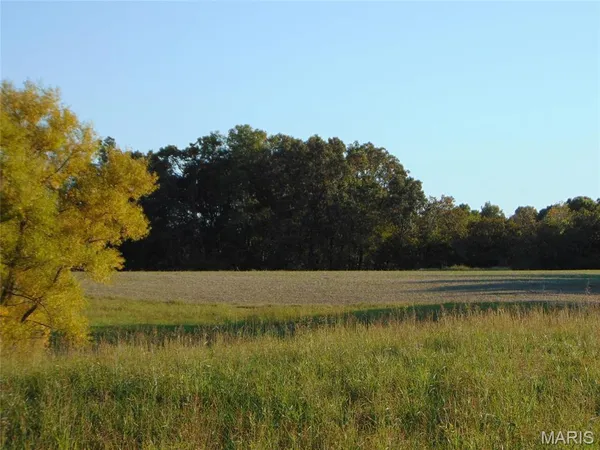 $675,000 | 3048 Marlboro Road, Vergennes, IL 62994