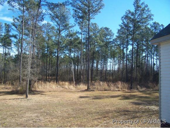 4750 Toddy Road Farmville, NC 27828 - Photo 29 of 36 Additional Photo