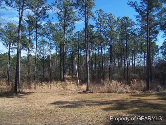 4750 Toddy Road Farmville, NC 27828 - Photo 35 of 36 Additional Photo