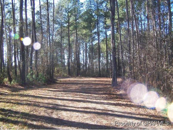 4750 Toddy Road Farmville, NC 27828 - Photo 36 of 36 Additional Photo