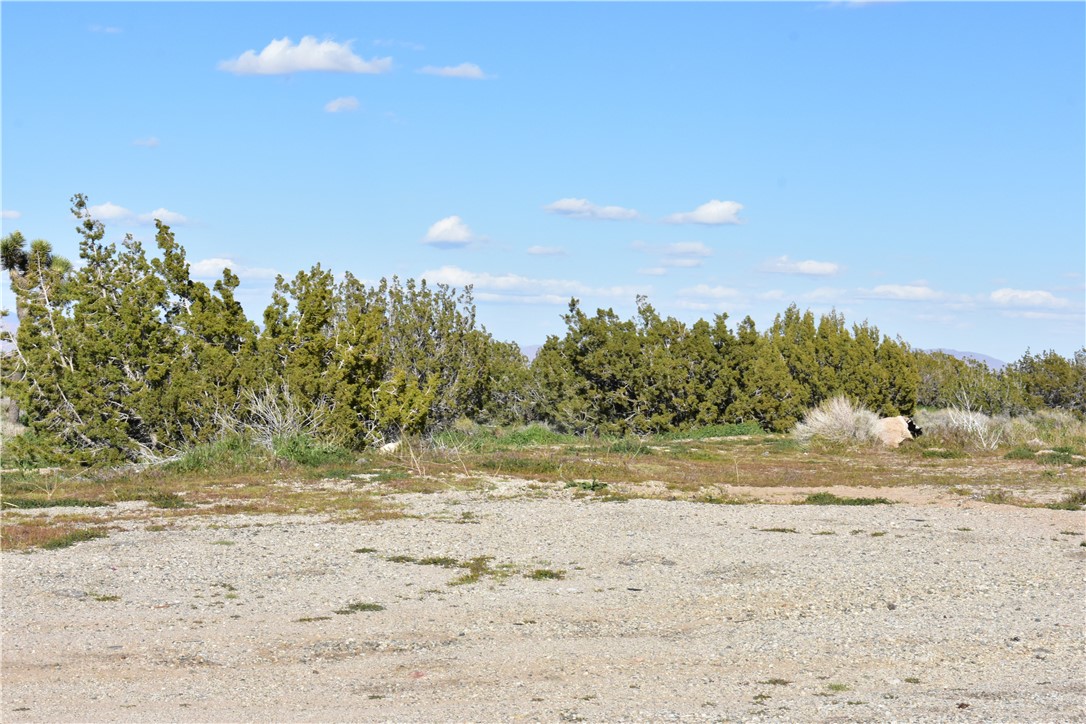 0 Escondido Avenue Hesperia, CA 92344 - Photo 16 of 58 a view of ocean view with beach
