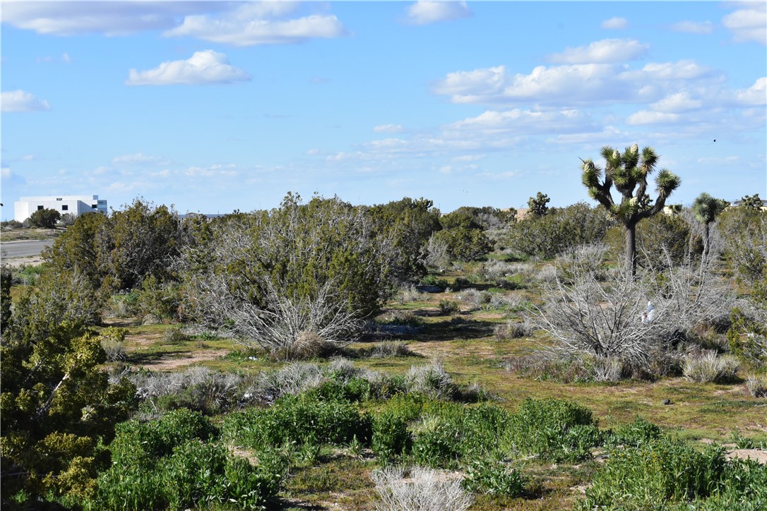 0 Escondido Avenue Hesperia, CA 92344 - Photo 21 of 58 a view of a field of grass and trees
