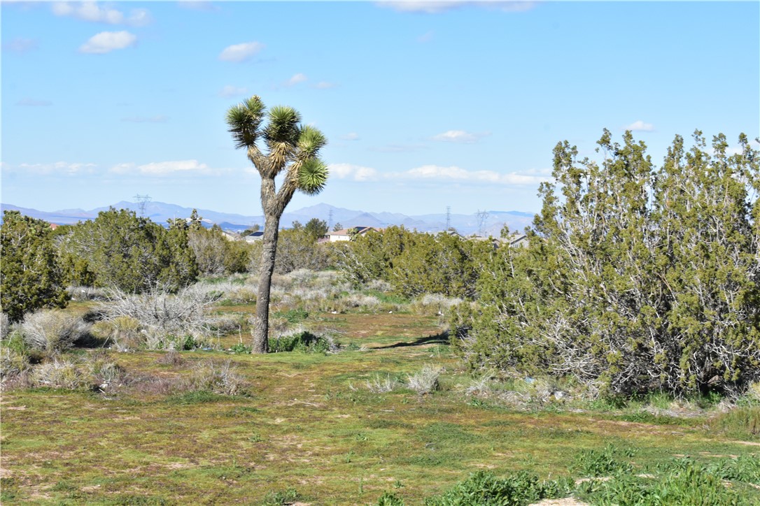 0 Escondido Avenue Hesperia, CA 92344 - Photo 23 of 58 a view of a lake with a yard