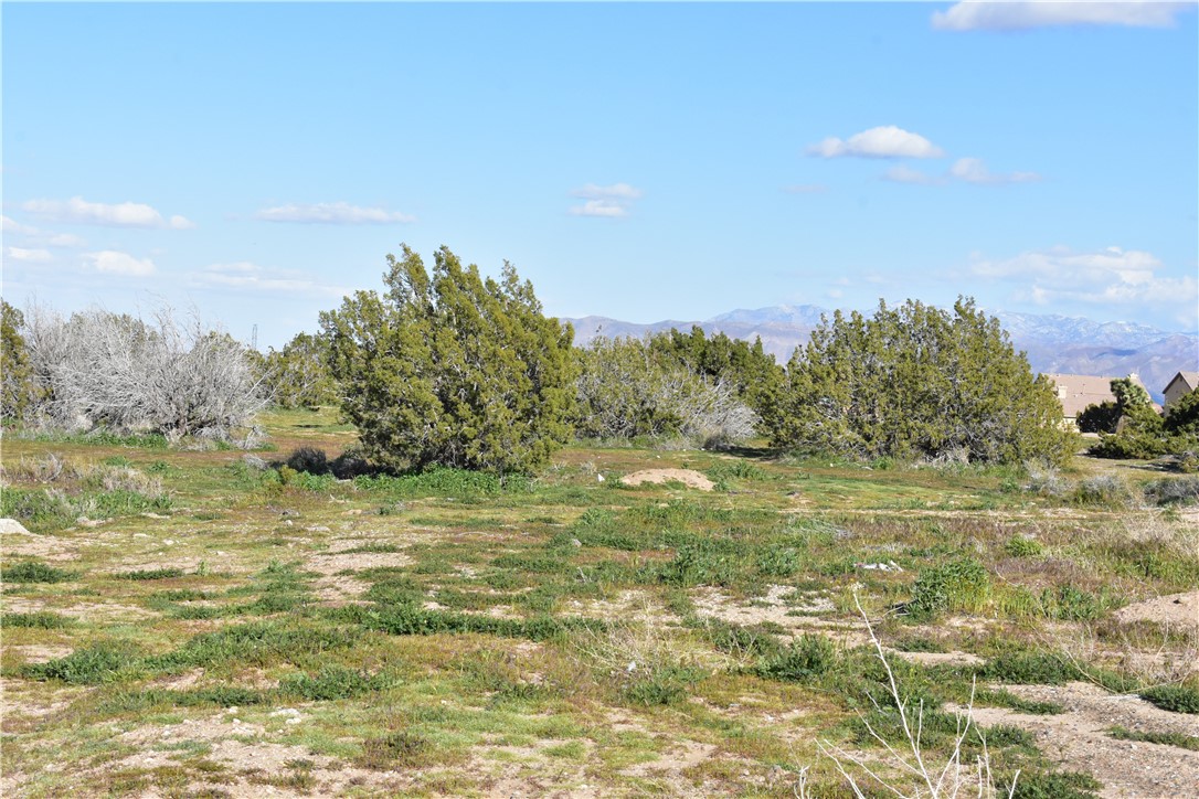 0 Escondido Avenue Hesperia, CA 92344 - Photo 26 of 58 a view of a field with an ocean view